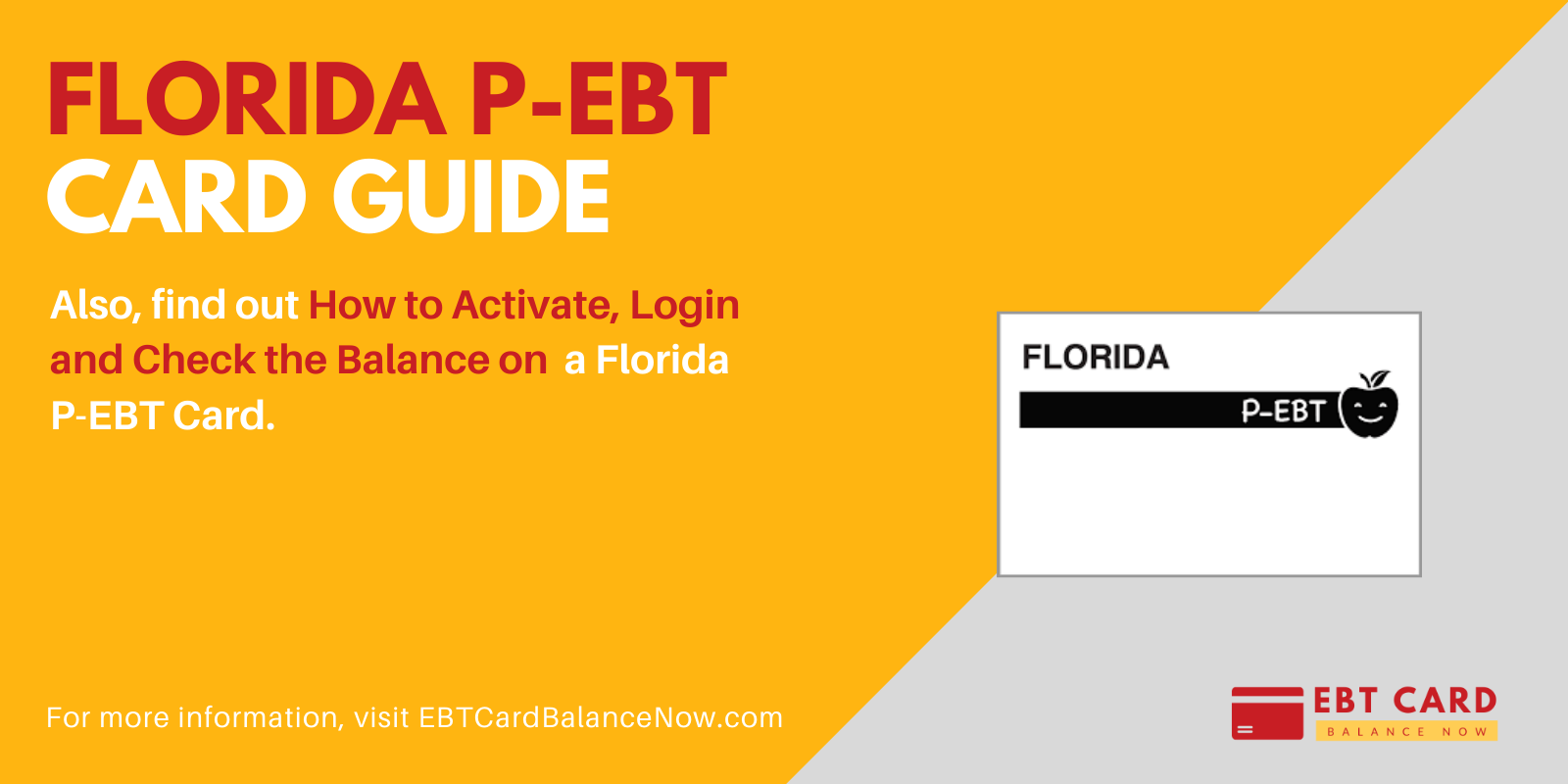 Florida P Ebt Program Guide For 2021 Ebtcardbalancenow Com